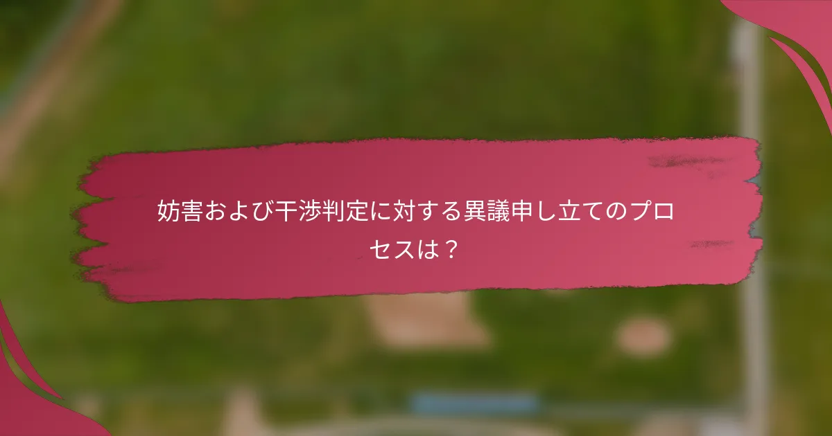 妨害および干渉判定に対する異議申し立てのプロセスは？